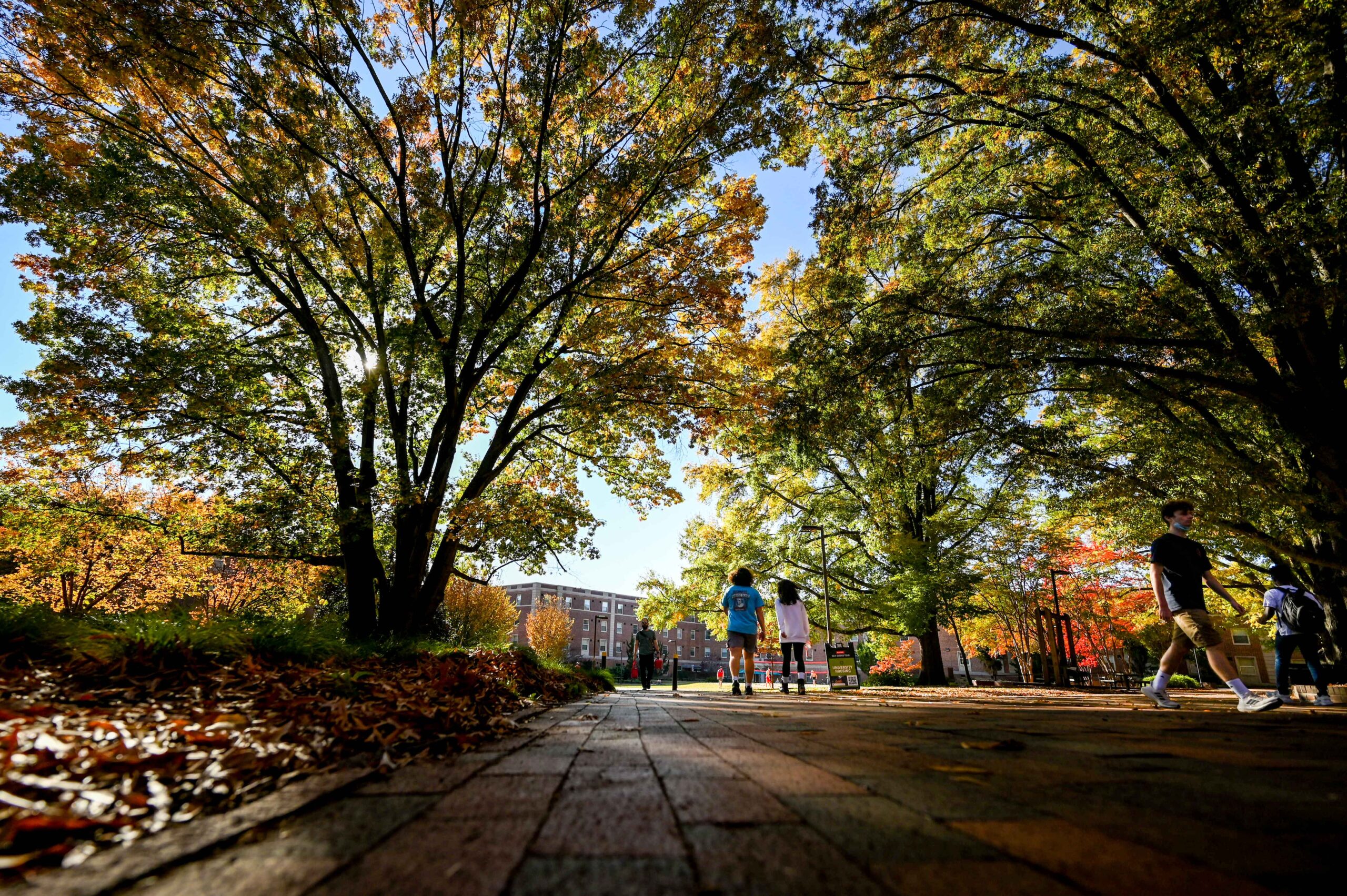 Students walking near Owen Hall in the hall.
