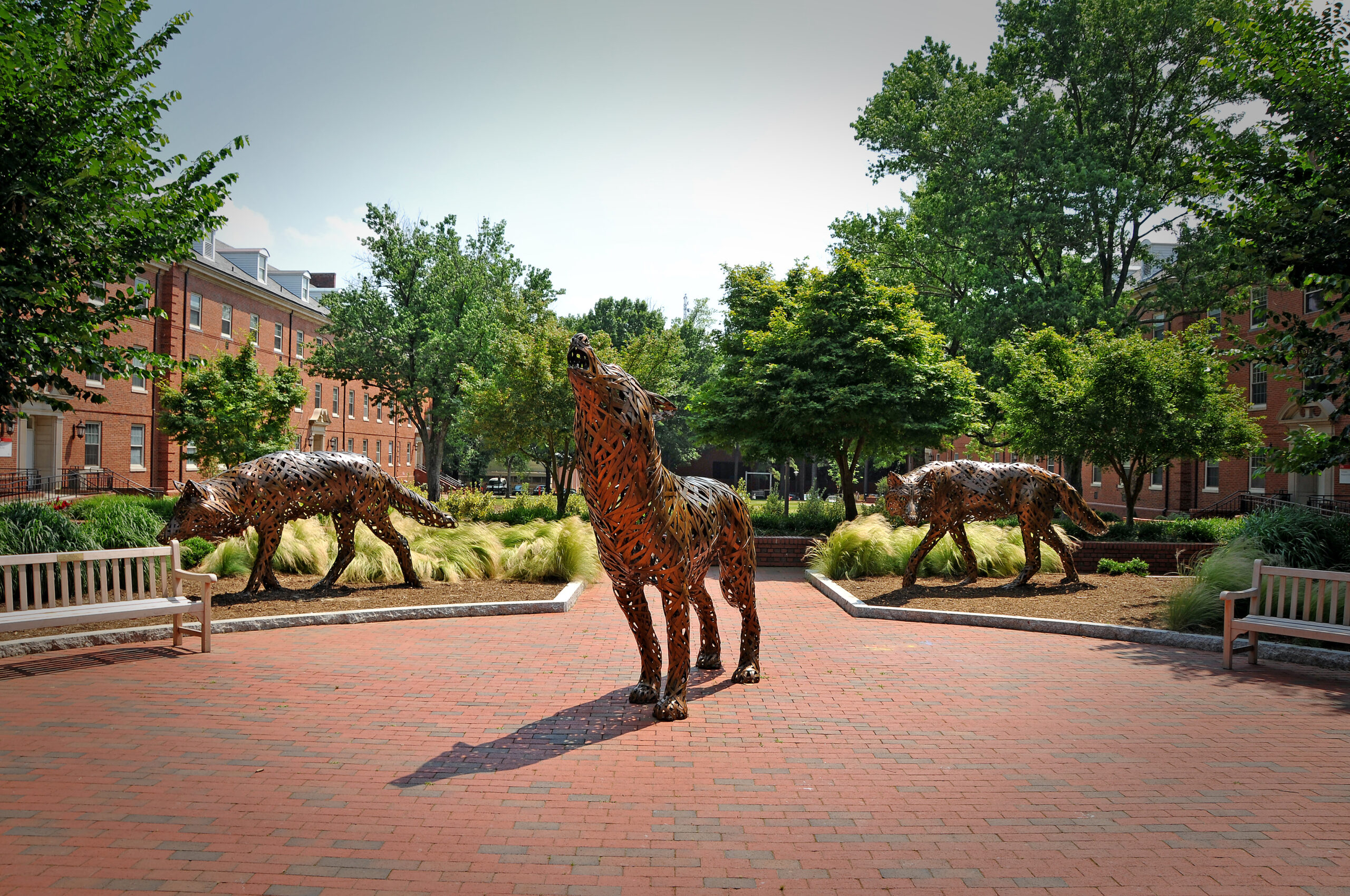 Three copper wolf statues in front of Turlington and Alexander Halls