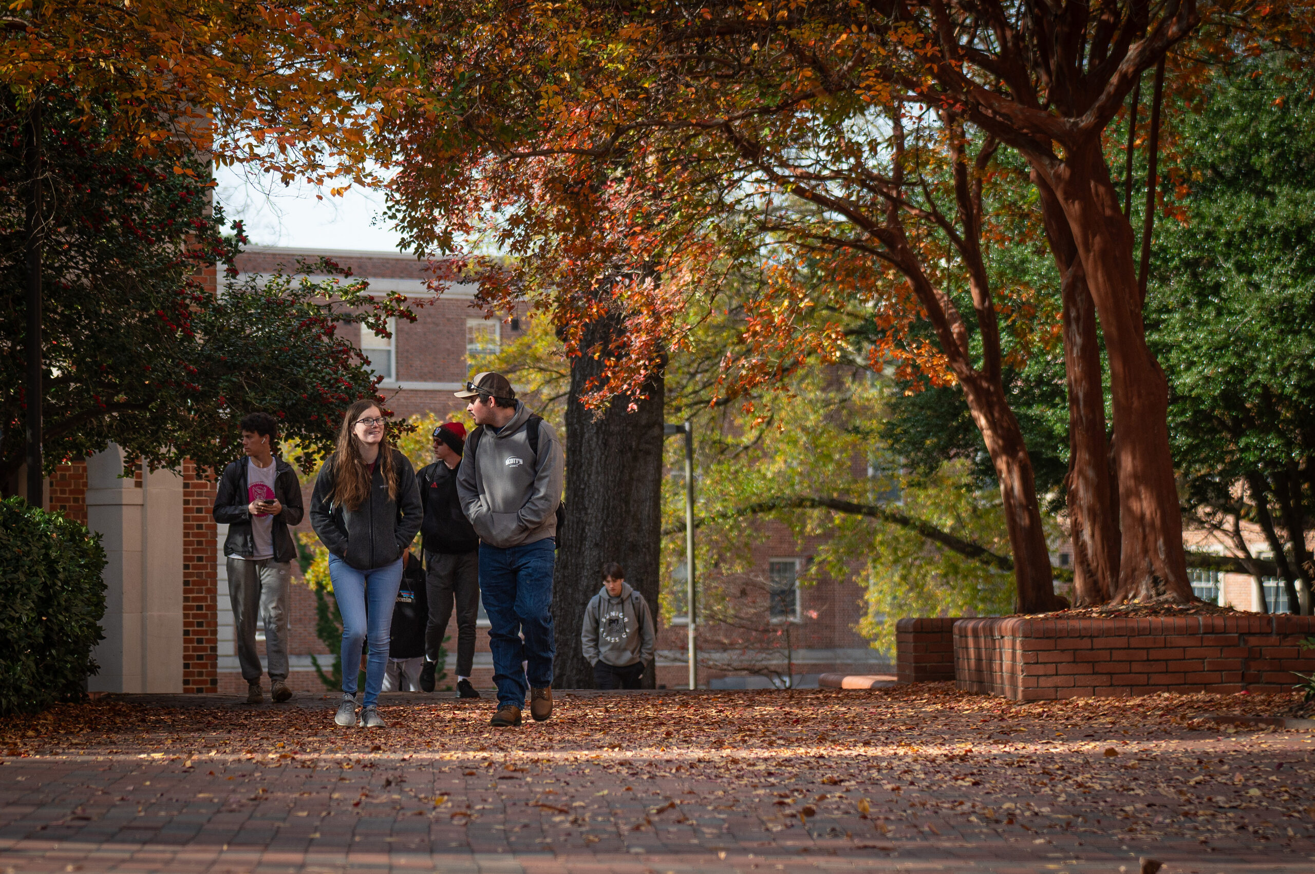 Students walk between residence halls on a fall day.