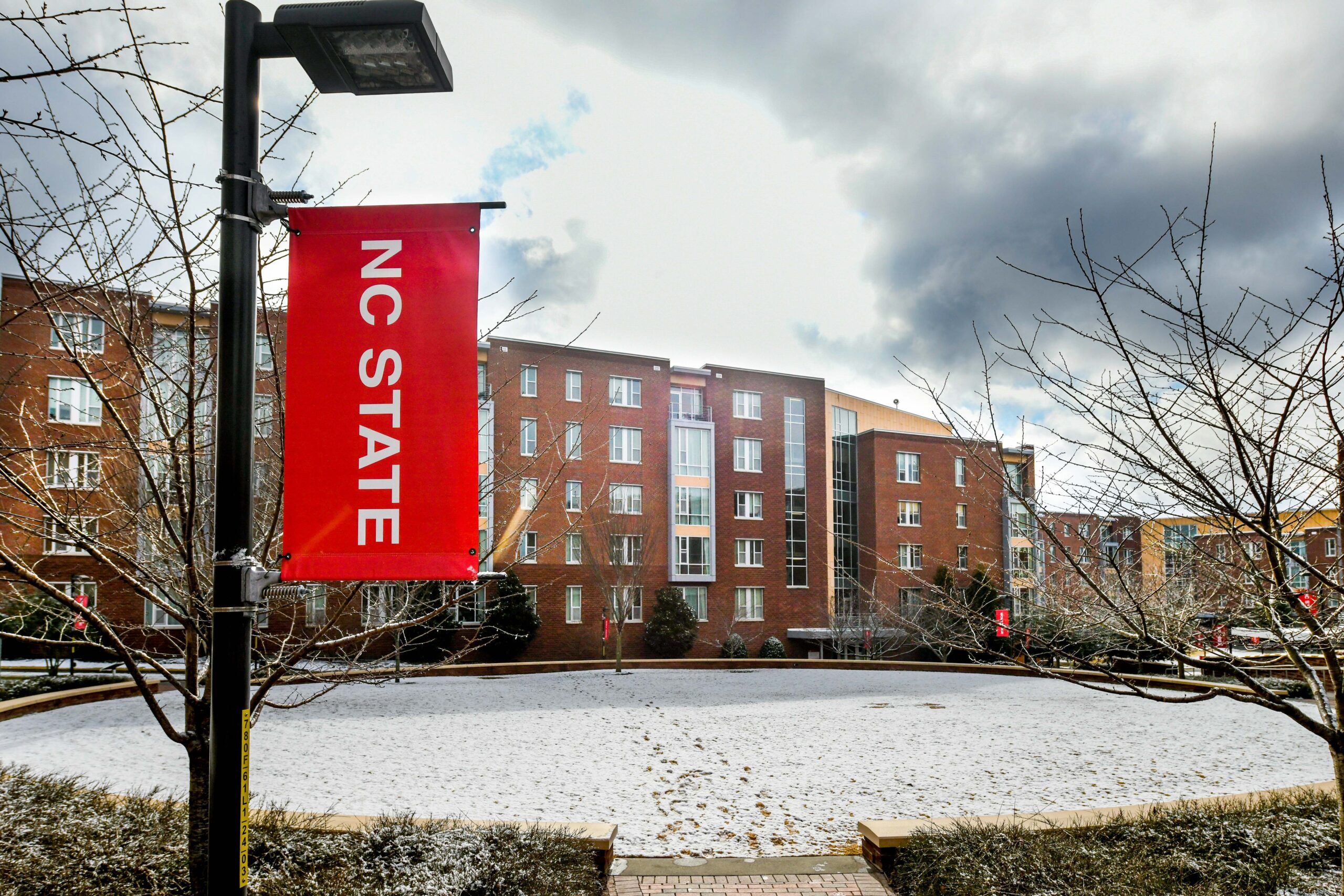 Wolf ridge with a flag that says NC State. Snow is on the ground indicating it is winter. 