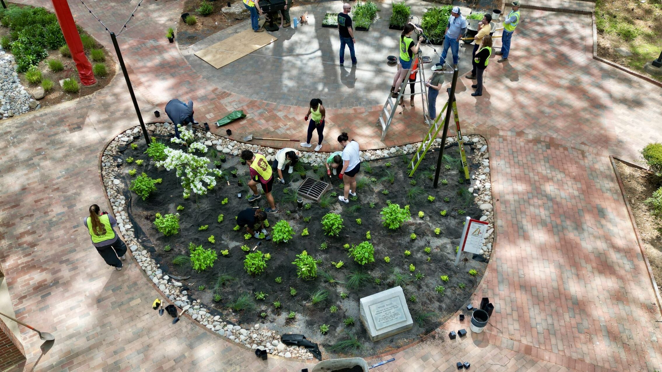 aerial view of wood hall outdoor project with students from the design school planting bushes in the gardening bed.